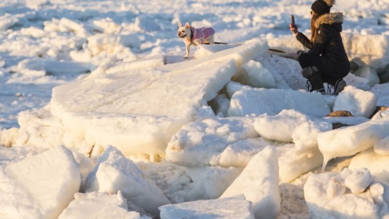 Calles desiertas y más vuelos cancelados en EEUU por el "ciclón bomba"