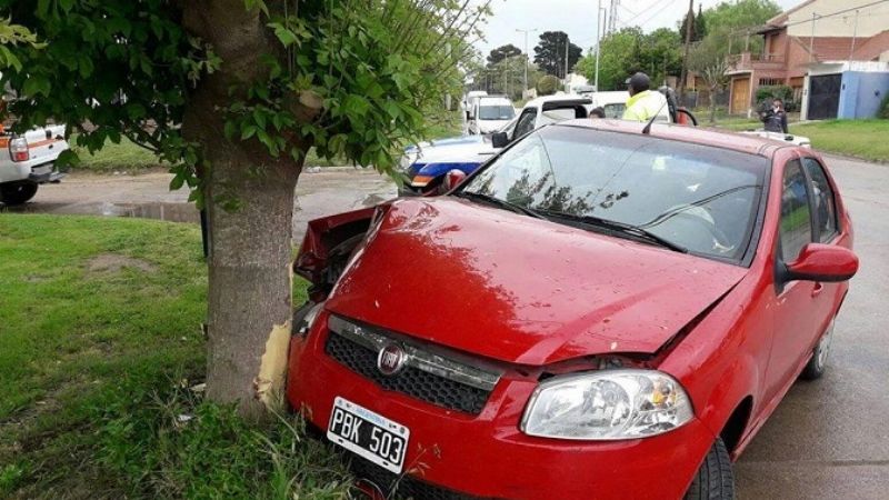 Chocó contra un árbol