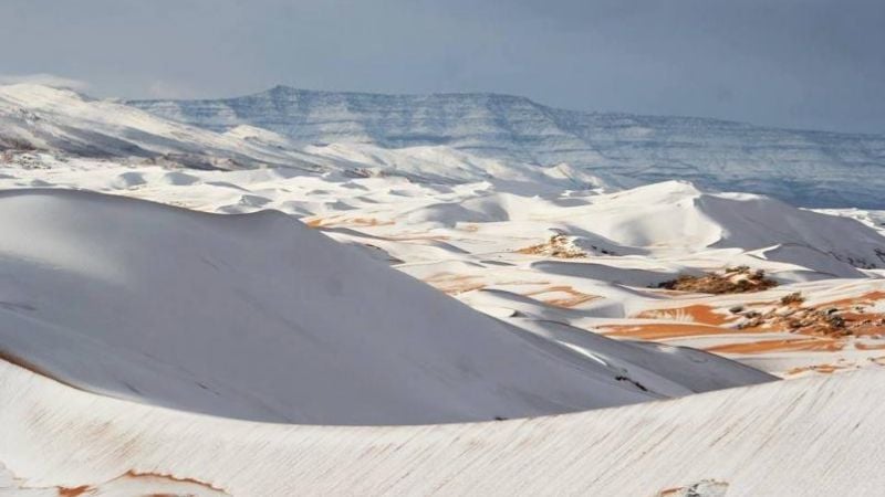 El desierto del Sahara amaneció cubierto de nieve