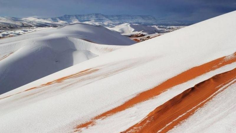 El desierto del Sahara amaneció cubierto de nieve