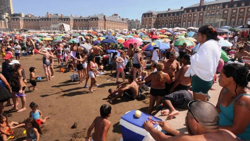 Invasión de avispas en la playa Bristol