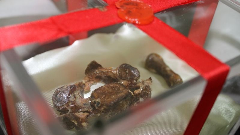 Las reliquias de Esquiú que traerán a Catamarca