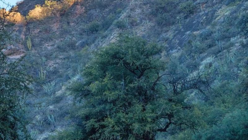 Las sorprendentes y antiguas cuevas para explorar