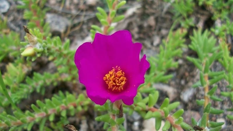 Las sorprendentes y antiguas cuevas para explorar