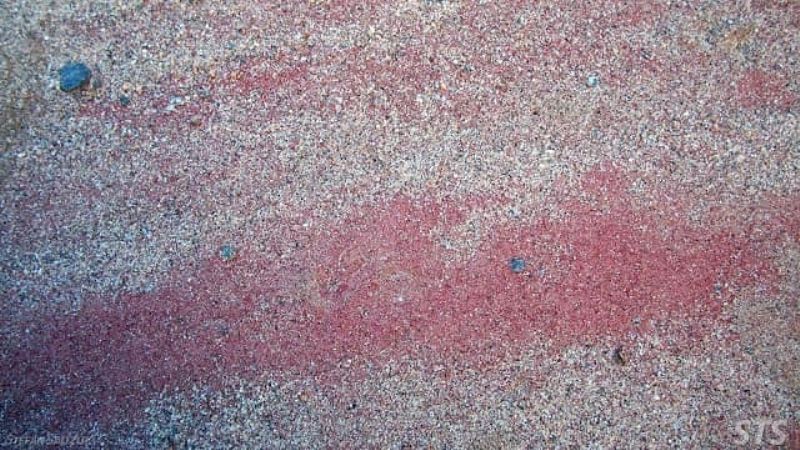 Las sorprendentes y antiguas cuevas para explorar