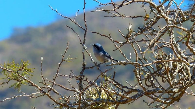 Las sorprendentes y antiguas cuevas para explorar