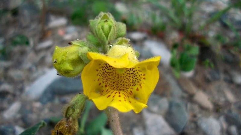 Las sorprendentes y antiguas cuevas para explorar