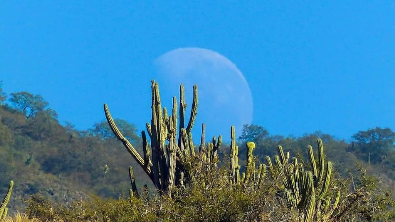 Las sorprendentes y antiguas cuevas para explorar