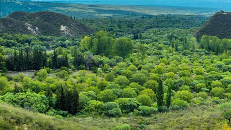 Los increíbles “Chorros” de Mutquín