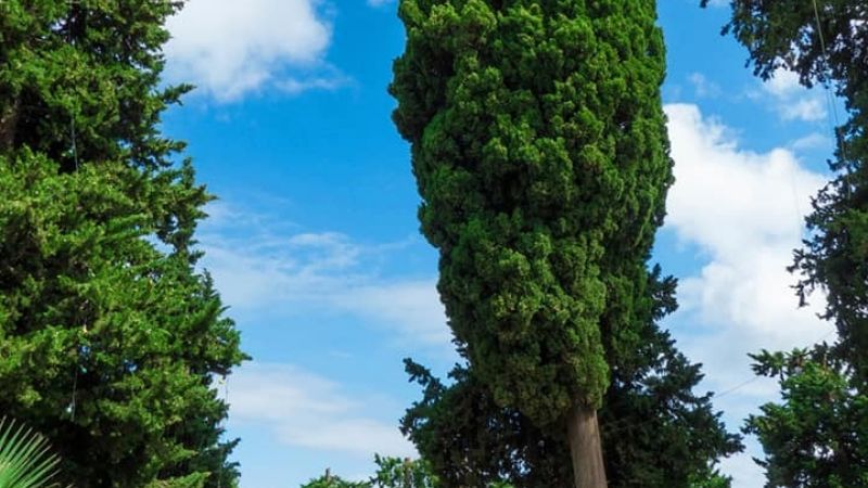 Los increíbles “Chorros” de Mutquín