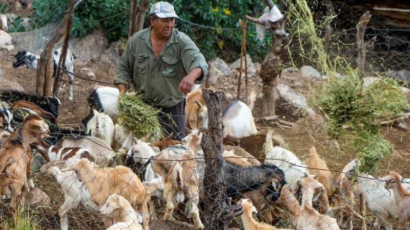 Los increíbles “Chorros” de Mutquín