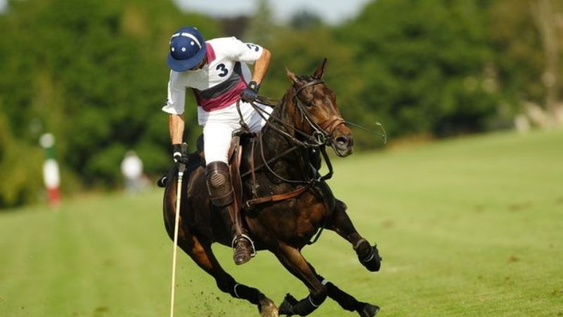 Polo Interprovincial en la Finca “La Inesita” en Coneta