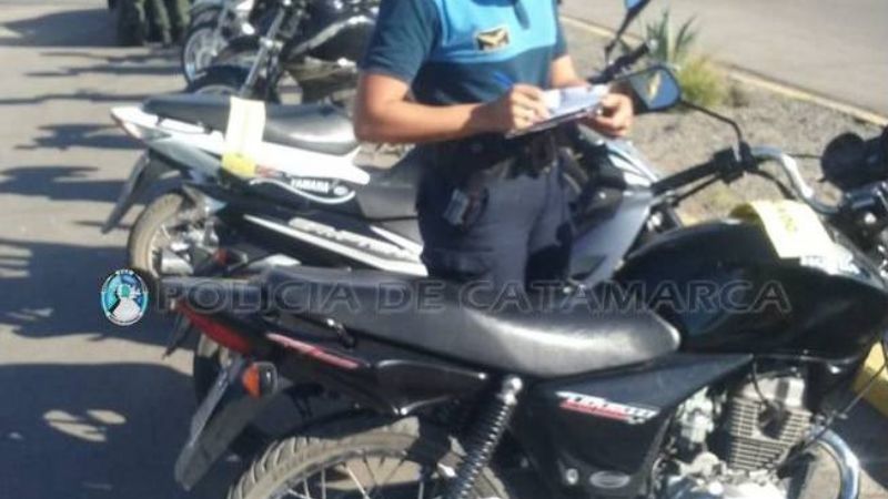 Secuestran vehículos, aves canoras y tramperas