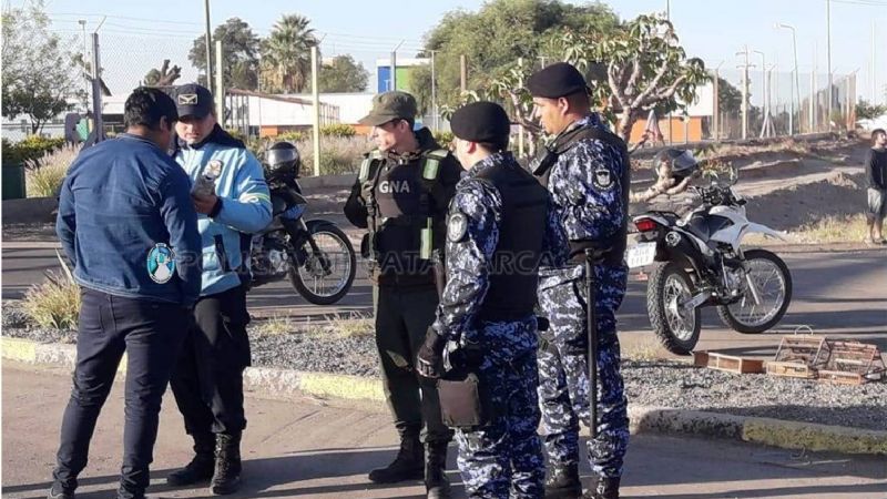 Secuestran vehículos, aves canoras y tramperas