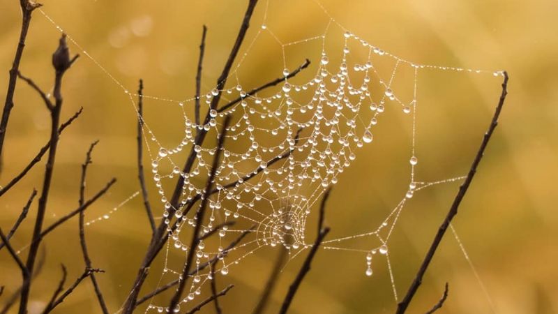 Imperdibles paisajes de Catamarca desde el cerro Crestón