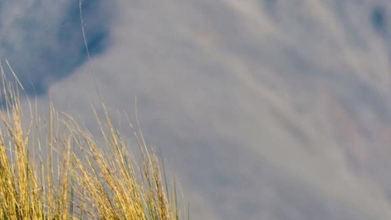 Imperdibles paisajes de Catamarca desde el cerro Crestón