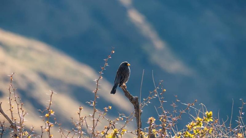 Imperdibles paisajes de Catamarca desde el cerro Crestón
