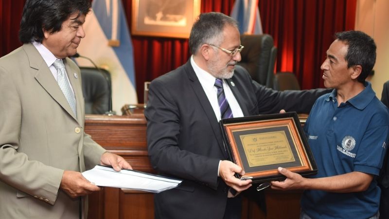 Declaraciones de interés en el Senado de Catamarca