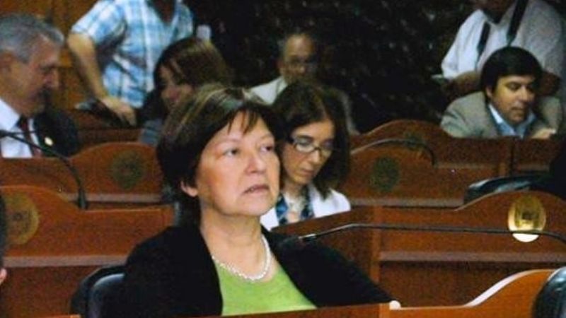 Díaz pedirá dejar sin efecto la quita del subsidio al transporte