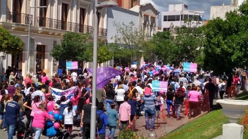 Marcharon a favor de la actual Ley de ESI