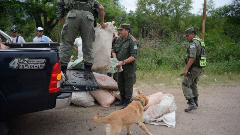 El 85% de la droga ingresa por el norte desde Bolivia y Paraguay