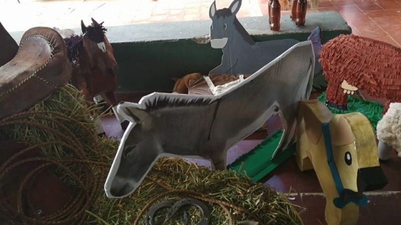 Colorida muestra de Ciencia en el Colegio del Carmen