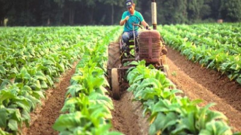 La CAME asegura que las economías regionales no soportan más impuestos