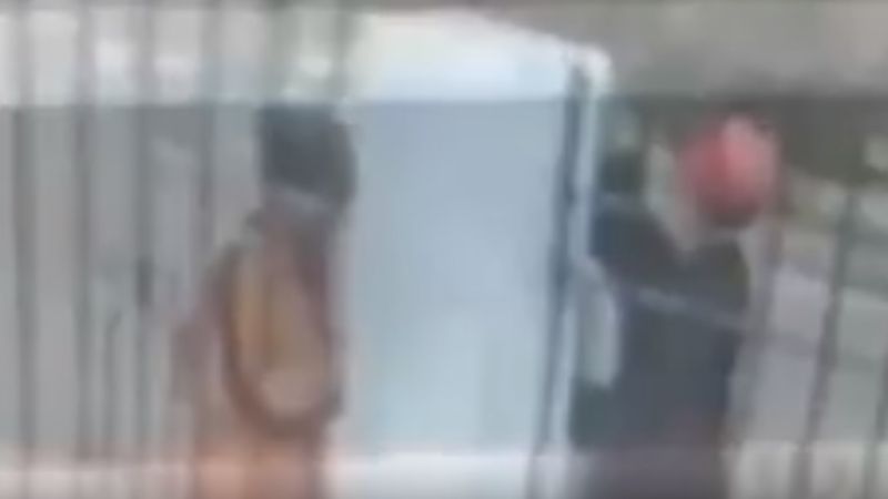 Imágenes captan a los ladrones de tutores de árboles