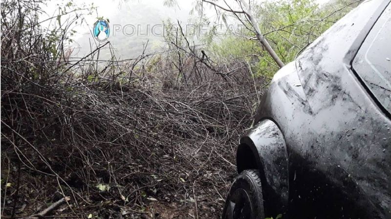 Perdió el control en una curva y terminó entre los árboles