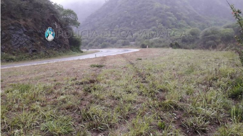 Perdió el control en una curva y terminó entre los árboles