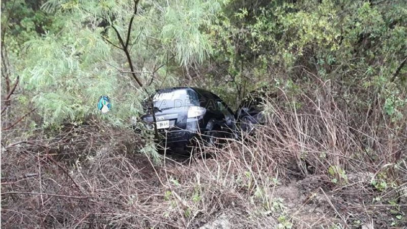 Perdió el control en una curva y terminó entre los árboles