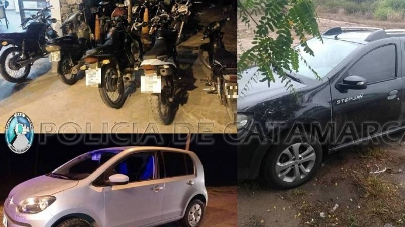 Más de 30 rodados secuestrados