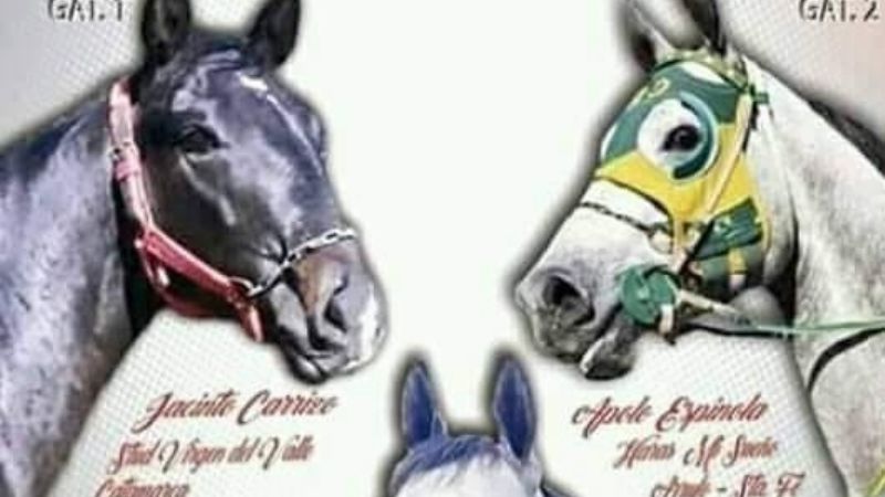 Americano entre los mejores “cuadreros” del país