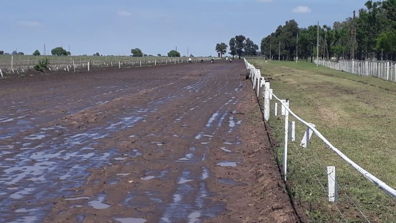 Americano entre los mejores “cuadreros” del país
