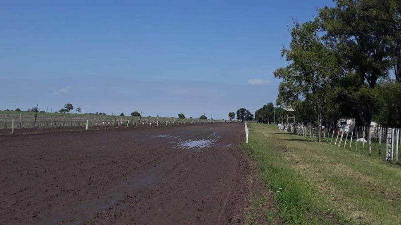 Americano entre los mejores “cuadreros” del país