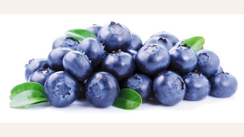 Campaña federal para promover el consumo de arándanos