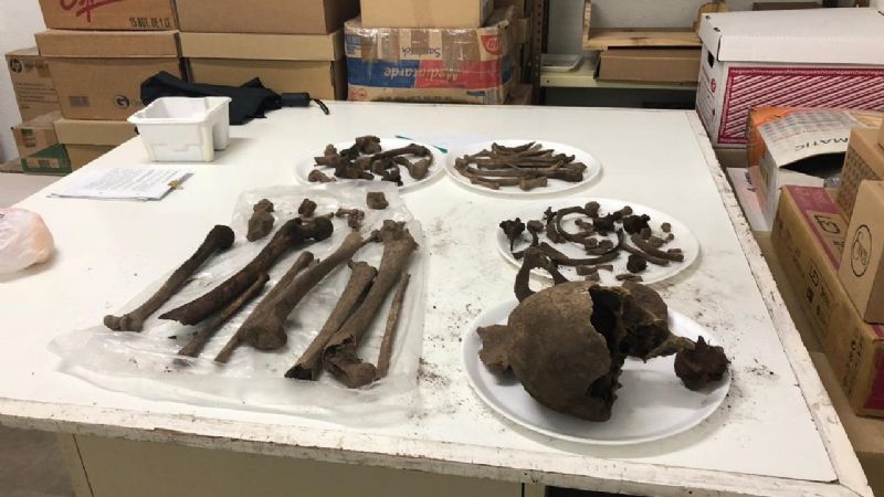 Rescatan de restos óseos arqueológicos en propiedad privada