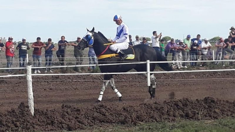 Americano , el “pingo del pueblo” ganó en Selva, Sgo.