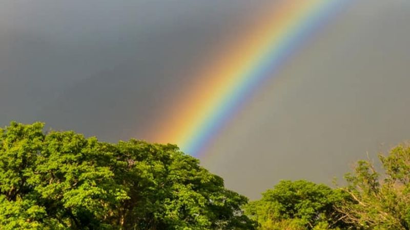 Arcoíris en Pomancillo