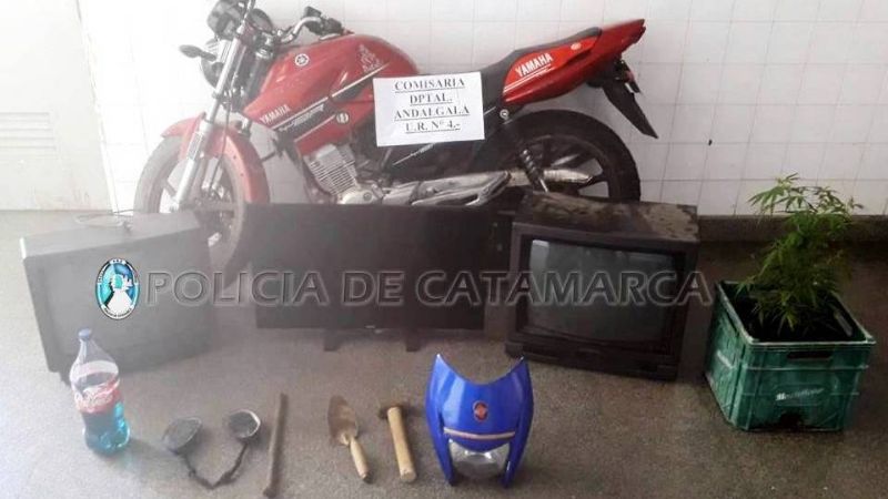 Por el robo de una moto, encontraron otros elementos y cultivo de marihuana