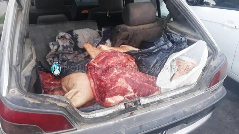 Decomisan carne de cerdo