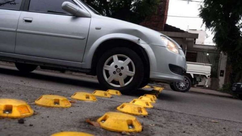 Hay tortuguitas para rato