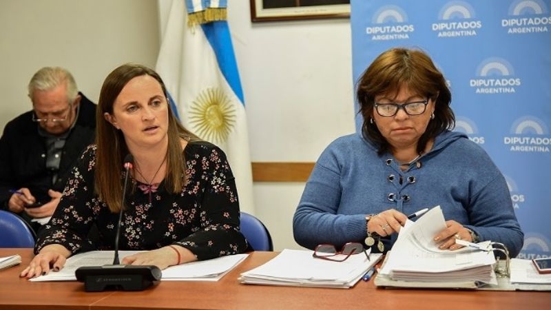 Comenzó en Diputados el debate sobre la Ley de Talles