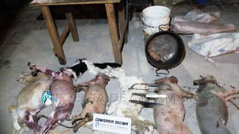 Sorprendieron a dos sujetos faenando animales