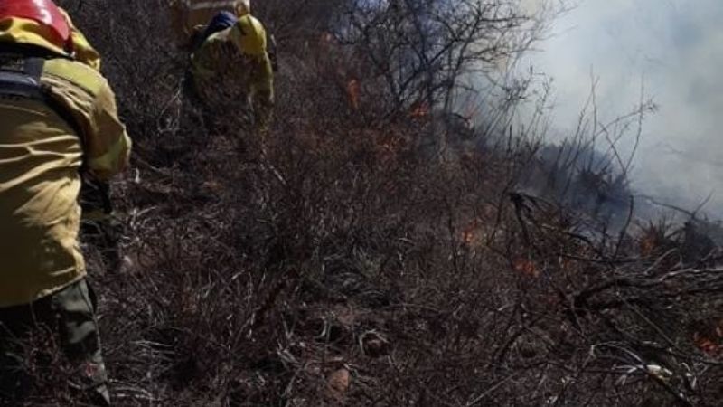 Rescatan a una corzuela de un incendio de pastizales
