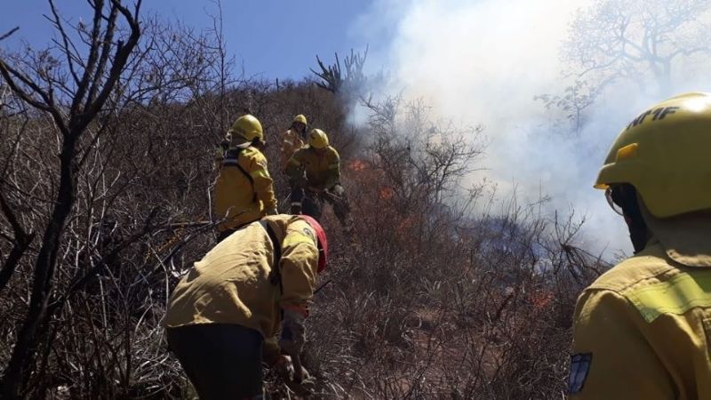 Rescatan a una corzuela de un incendio de pastizales