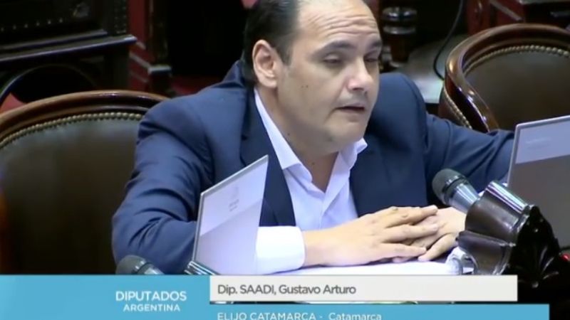 Saadi: “Había que elegir entre qué era lo menos peor”