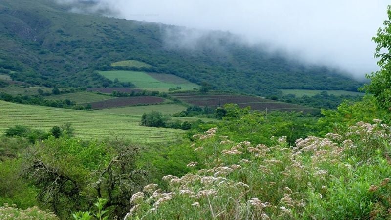 ¿Visitar Catamarca es mejor en invierno o en verano?