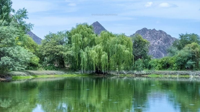 ¿Visitar Catamarca es mejor en invierno o en verano?