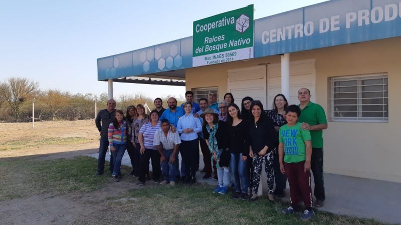 Cuando el Chañar se lastima, llora “caramelo del monte”